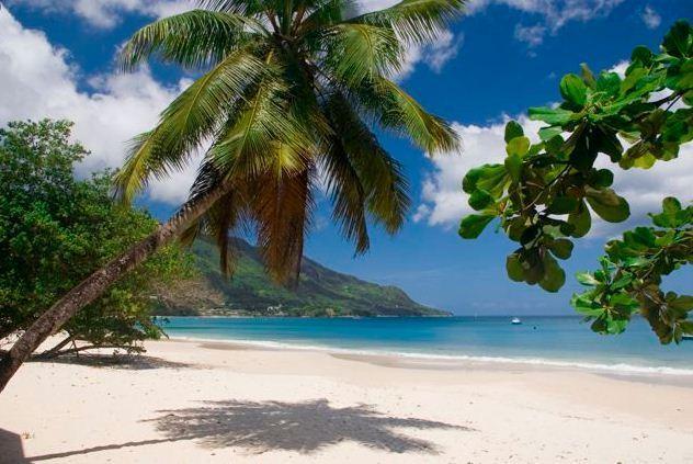 Rowsvilla Guest House Vịnh Beau Vallon Ngoại thất bức ảnh