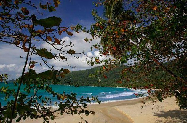 Rowsvilla Guest House Vịnh Beau Vallon Ngoại thất bức ảnh